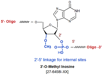picture of 3'-O methyl rInosine (2'-5' linked)